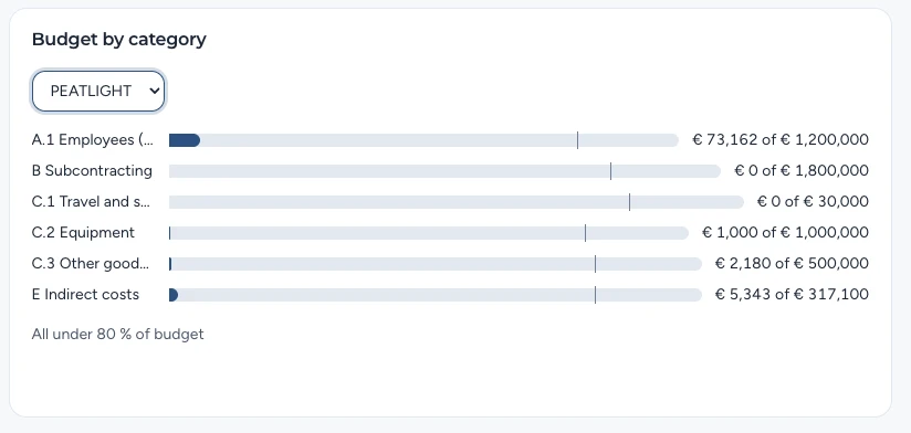 Budget by category: each category’s locked cost against its budget